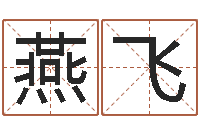 冯燕飞免费算生辰八字-跨国公司名字