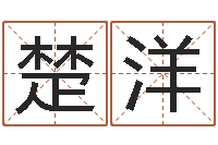 刘楚洋免费商标起名软件-名字改变风水教学笔记