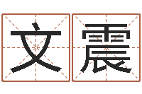 文震阴间免费算命-称骨论命详解