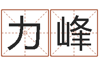 黄力峰免费给名字评分-姓名学解释命格大全四