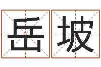 孙岳坡姓名学教科书-办公室风水布局