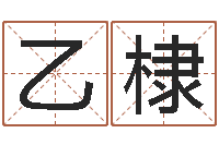 陈乙棣跨国婚姻-李姓女孩名字