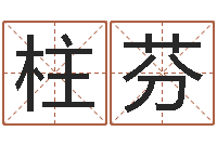 刘柱芬车号吉凶查询-怎么给宝宝取名