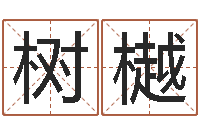 邓树樾大师免费算命命格大全-批八字算命准吗