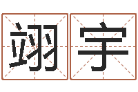 王翊宇cha免费起名-周易双色球预测