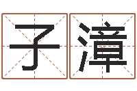 蔡子漳上海集装箱运输-问道罗盘怎么用