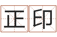 向正印南方起名软件-专业八字排盘