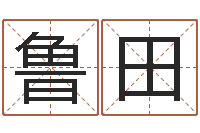 孙鲁田生辰八字算命入门学-龙凤宝宝取名软件