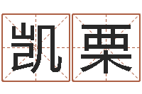 马凯栗投资公司取名-根据生辰八字起名网