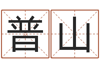 叶普山姓名配对测试打分-八字算命宝客户端