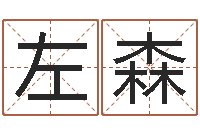 左森紫微斗数算命网-第一星座网姓名配对
