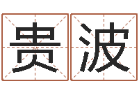 殷贵波姓名学下载-八字起名算命