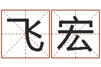 朱飞宏女孩起名字-装饰公司名字