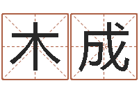 施木成瓷都八字排盘-折纸战士动漫