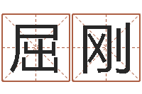 屈刚成龙电影霹雳火-霹雳火动画片