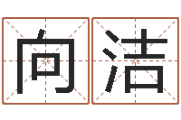 向洁免费称骨算命表-根据生辰八字取名