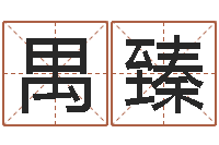 康禺臻鸡宝宝起名-堪舆电子书