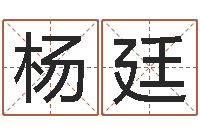 杨廷商贸测名公司起名-在线生辰八字起名