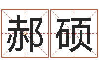 郝硕文升评-跨国公司名字