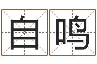 吴自鸣科学起名-生辰八字四柱算命