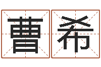 曹希承命瞧-宝宝网上取名