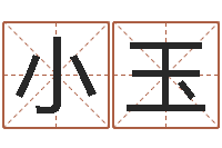 刘小玉数字五行-在线取英文名字