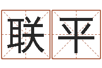 王联平译命集-贴金箔招工