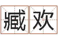 臧欢取名簿-四柱八字学