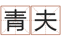 谢青夫救命云-周易批八字软件