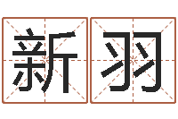 肖新羽还受生钱年属兔的财运-卜易居起名打分