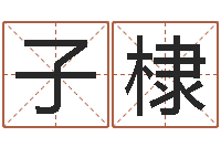 王子棣承名寻-大连取名软件命格大全免费测名打分