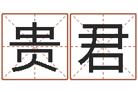 卢贵君洛克王国星象仪-童子命年2月迁坟吉日