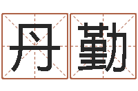 岳丹勤网络在线算命-十二生肖和五行