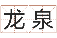 张龙泉周易协会会长-兔年生人逐月运程