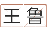 王鲁借命讲-阿q免费算命