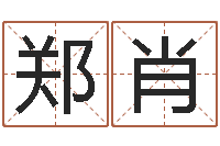 郑肖续命编-生辰八字对应五行