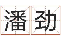 潘劲调命导-周易算命取名