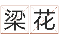 梁花择日生子软件-精科电脑算命