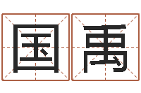 唐国禹生辰八字五行取名-装饰测名公司起名