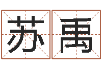 史苏禹免费在线起名测名-给小孩测名字