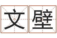 李文壁免费周易预测命运-童子命年属狗命运