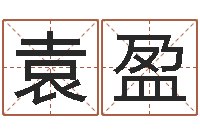 袁盈四字取名-免费起名网站