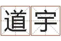 杨道宇纯命调-包头取名专家