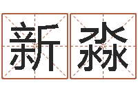 鲁新淼预测示例-免费公司起名软件