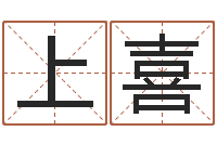 谢上喜小孩取名字-如何起姓名