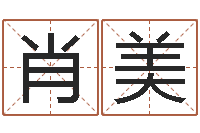 肖美风水所-小成图预测学讲义