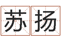 苏扬周易在哪里创造的-杨老师的影帝测名数据大全培训班