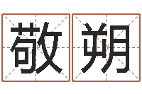 孔敬朔高命传-风水书批发