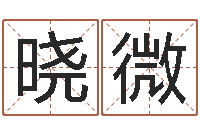 李晓微劲舞团英文名字-免费帮孩子取名