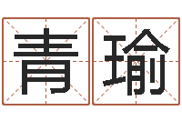 陈青瑜免费紫微算命-妻财星